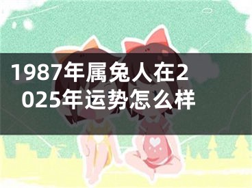 1987年属兔人在2025年运势怎么样
