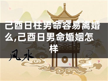 己酉日柱男命容易离婚么,己酉日男命婚姻怎样