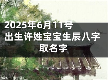 2025年6月11号出生许姓宝宝生辰八字取名字