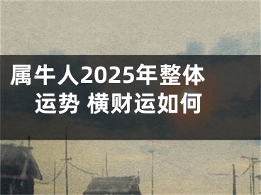 属牛人2025年整体运势 横财运如何