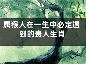 属猴人在一生中必定遇到的贵人生肖