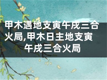 甲木遇地支寅午戌三合火局,甲木日主地支寅午戌三合火局