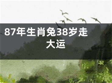 87年生肖兔38岁走大运
