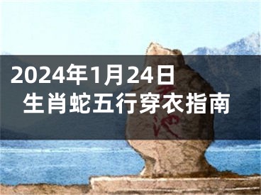 2024年1月24日生肖蛇五行穿衣指南