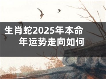 生肖蛇2025年本命年运势走向如何