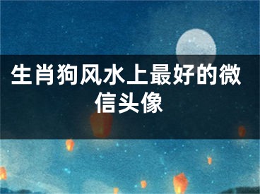 生肖狗风水上最好的微信头像