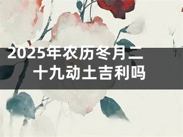 2025年农历冬月二十九动土吉利吗