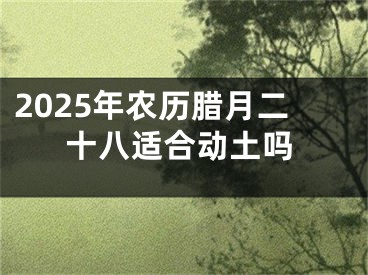 2025年农历腊月二十八适合动土吗