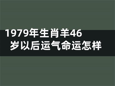 1979年生肖羊46岁以后运气命运怎样