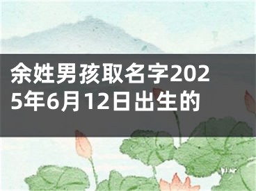 余姓男孩取名字2025年6月12日出生的