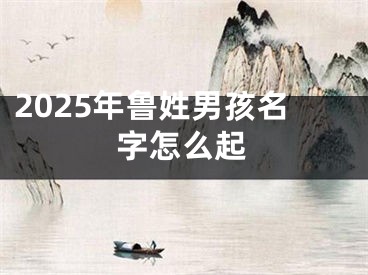 2025年鲁姓男孩名字怎么起