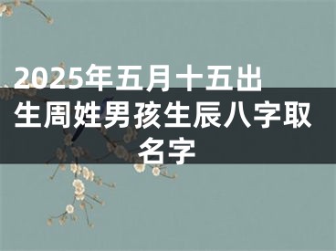 2025年五月十五出生周姓男孩生辰八字取名字