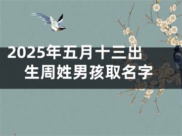 2025年五月十三出生周姓男孩取名字