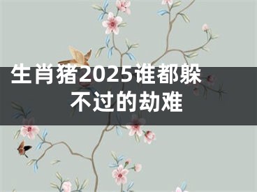 生肖猪2025谁都躲不过的劫难