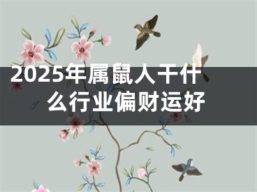 2025年属鼠人干什么行业偏财运好