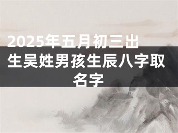 2025年五月初三出生吴姓男孩生辰八字取名字