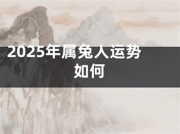 2025年属兔人运势如何