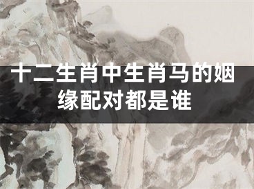 十二生肖中生肖马的姻缘配对都是谁