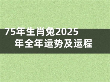 75年生肖兔2025年全年运势及运程