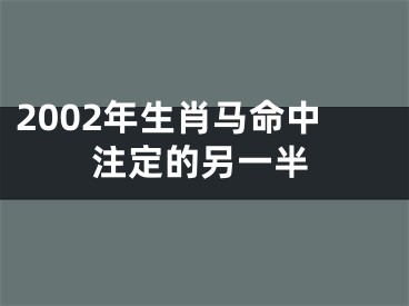 2002年生肖马命中注定的另一半