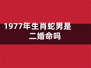 1977年生肖蛇男是二婚命吗