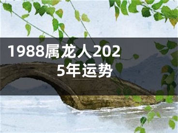 1988属龙人2025年运势