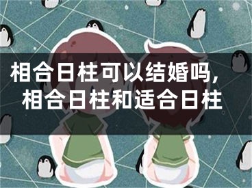 相合日柱可以结婚吗,相合日柱和适合日柱