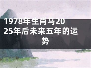 1978年生肖马2025年后未来五年的运势