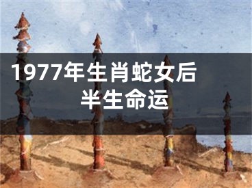1977年生肖蛇女后半生命运