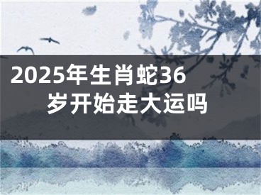 2025年生肖蛇36岁开始走大运吗