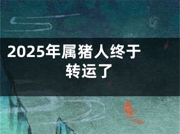 2025年属猪人终于转运了