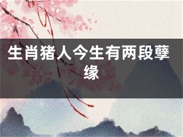 生肖猪人今生有两段孽缘