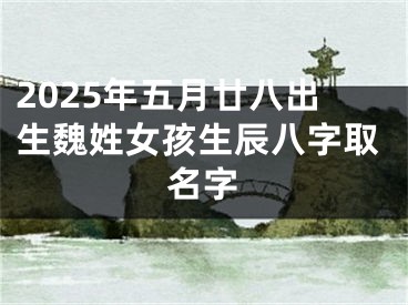 2025年五月廿八出生魏姓女孩生辰八字取名字