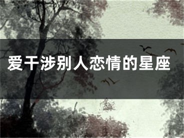 爱干涉别人恋情的星座