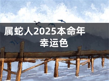 属蛇人2025本命年幸运色