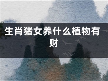 生肖猪女养什么植物有财
