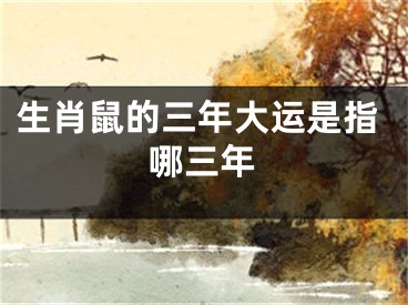 生肖鼠的三年大运是指哪三年