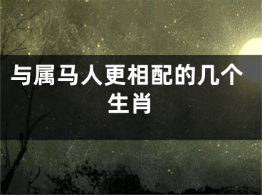 与属马人更相配的几个生肖