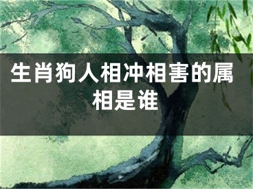 生肖狗人相冲相害的属相是谁