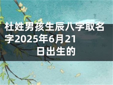 杜姓男孩生辰八字取名字2025年6月21日出生的