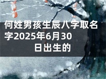何姓男孩生辰八字取名字2025年6月30日出生的