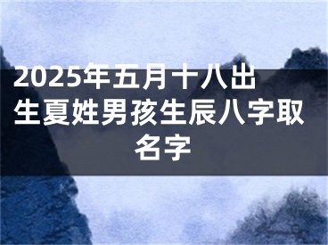 2025年五月十八出生夏姓男孩生辰八字取名字