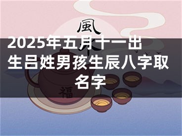 2025年五月十一出生吕姓男孩生辰八字取名字