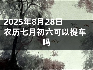 2025年8月28日农历七月初六可以提车吗