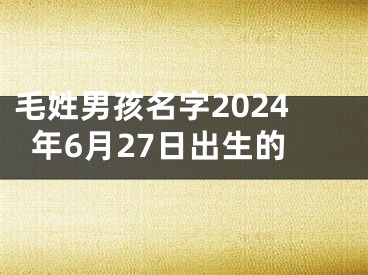 毛姓男孩名字2024年6月27日出生的