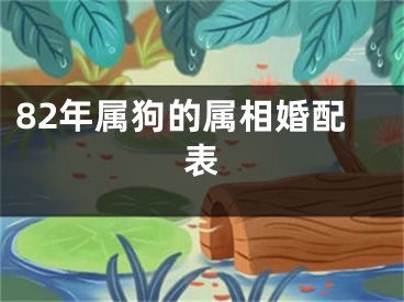 82年属狗的属相婚配表