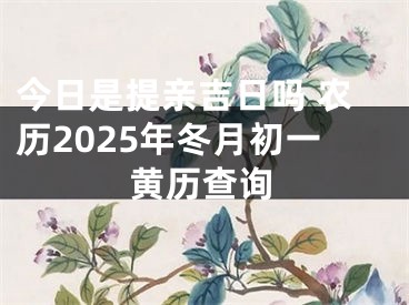 今日是提亲吉日吗 农历2025年冬月初一黄历查询