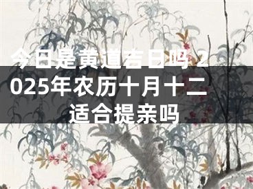 今日是黄道吉日吗 2025年农历十月十二适合提亲吗