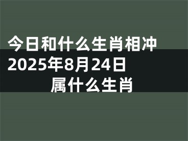 今日和什么生肖相冲 2025年8月24日属什么生肖
