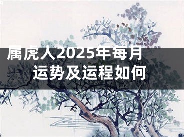 属虎人2025年每月运势及运程如何